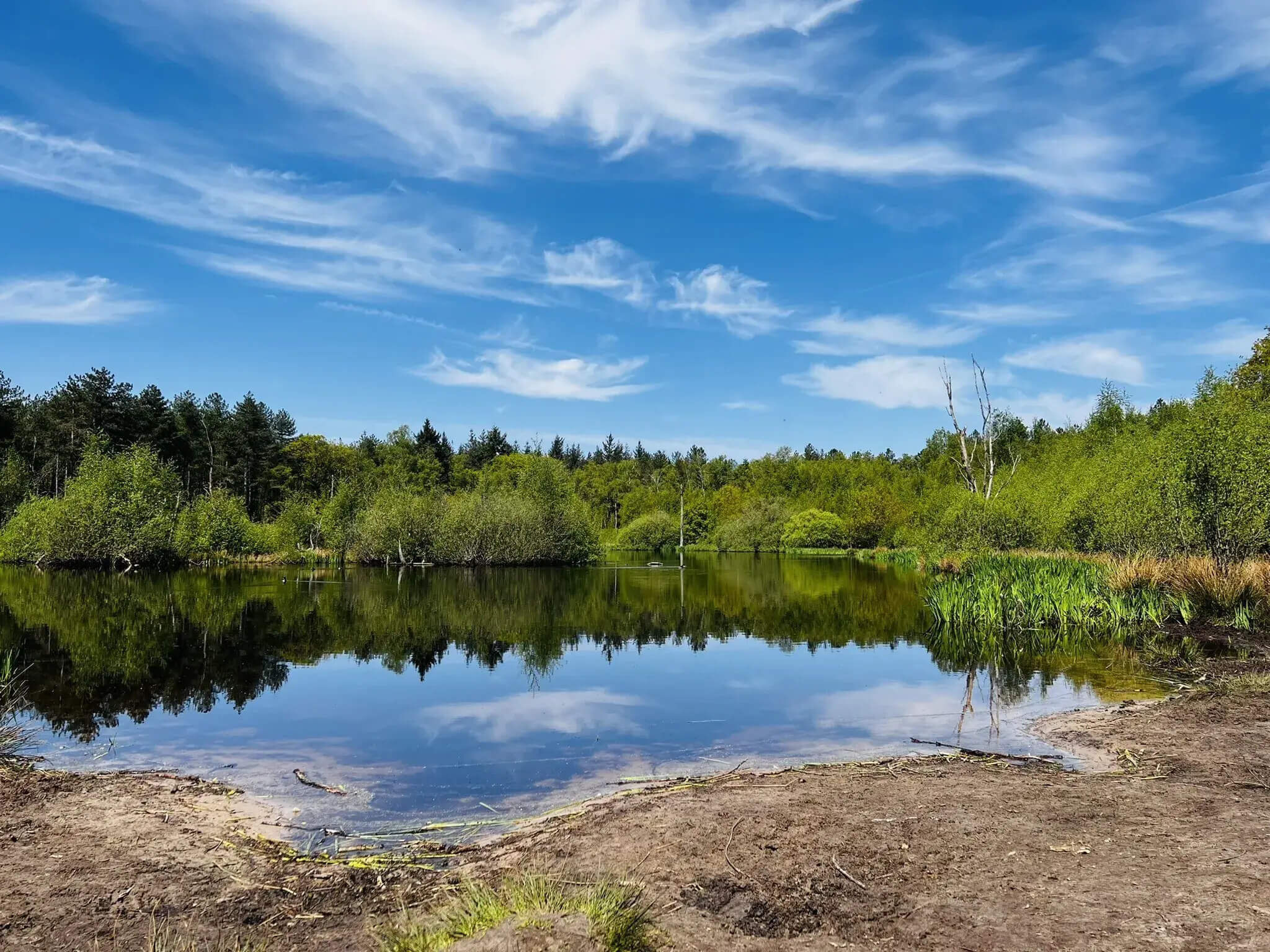 chaamse bossen losloopgebieden
